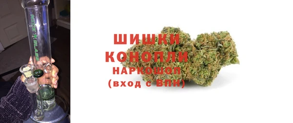 молекула духа Карпинск