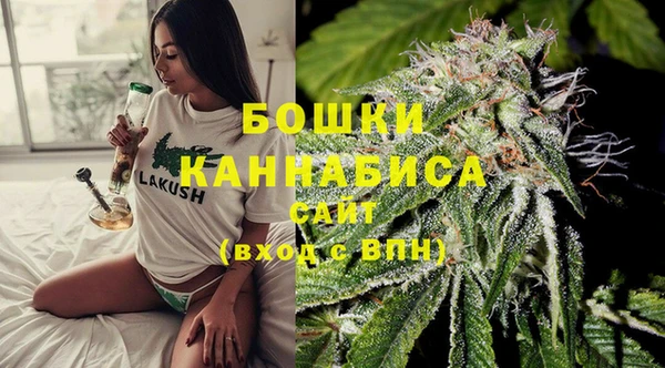 молекула духа Карпинск