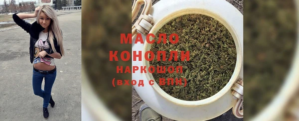 молекула духа Карпинск
