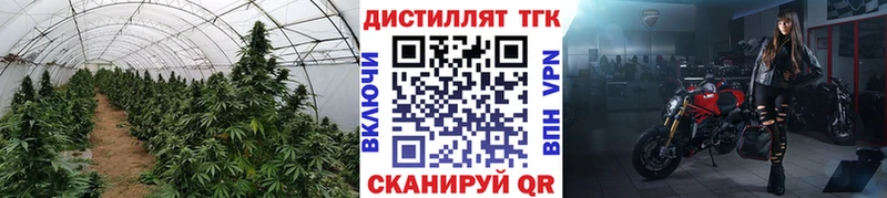 Купить где  Никольск  Дистиллят ТГК THC oil 